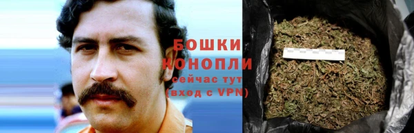 гашик Михайловка