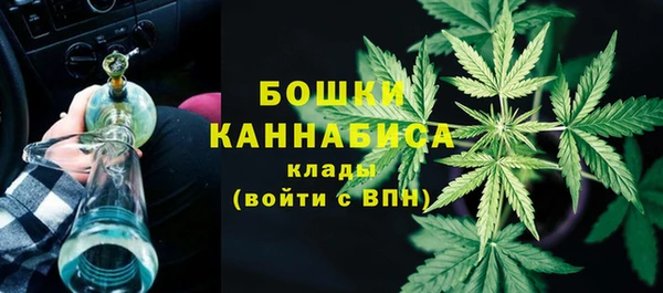 гашик Михайловка