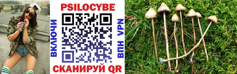 Псилоцибиновые грибы Cubensis цены наркотик Россошь
