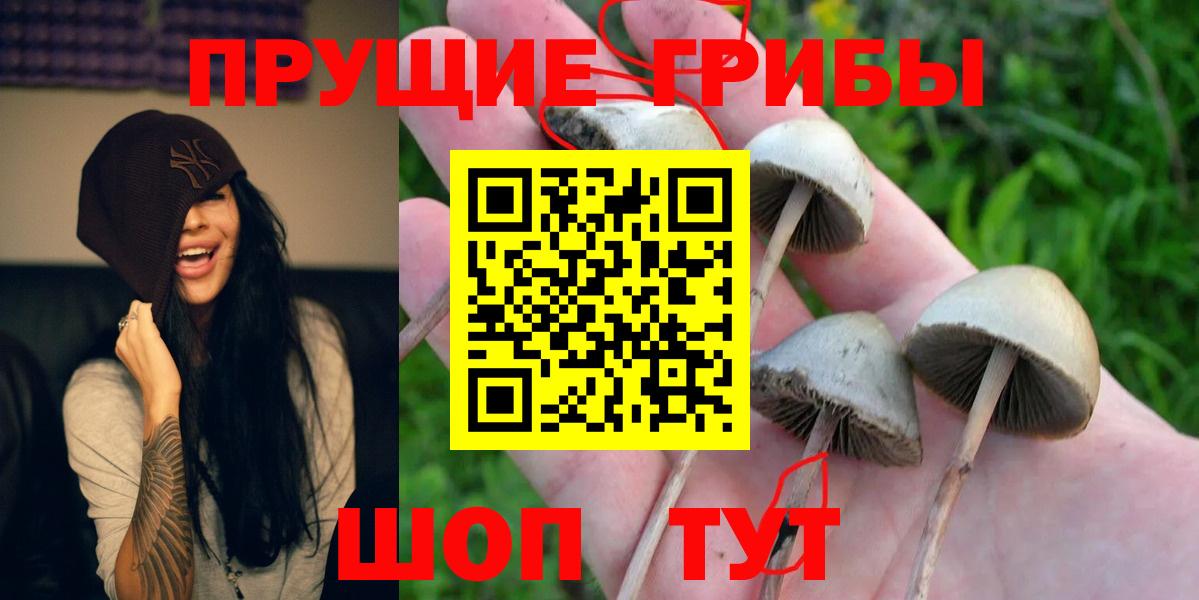 Галлюциногенные грибы мухоморы Россошь